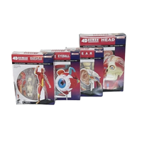4D Master Human Anatomy Head, Eyeball, Ear, Muscle/Skeleton Models, STEM Gift Set