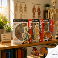 Learning Resources Human Anatomy Models Bundle Set — Brain, Skeleton, & Body | Hands-On Science Kit for Kids Ages 8+